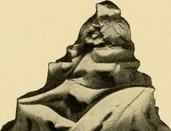 An illustration from Catalogue of plaster cast reproductions from antique, medieval and modern sculpture : subjects for art schools., 1901, leaf 166