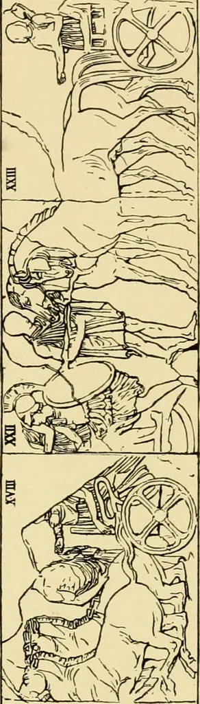 An illustration from Catalogue of plaster cast reproductions from antique, medieval and modern sculpture : subjects for art schools., 1901, leaf 168