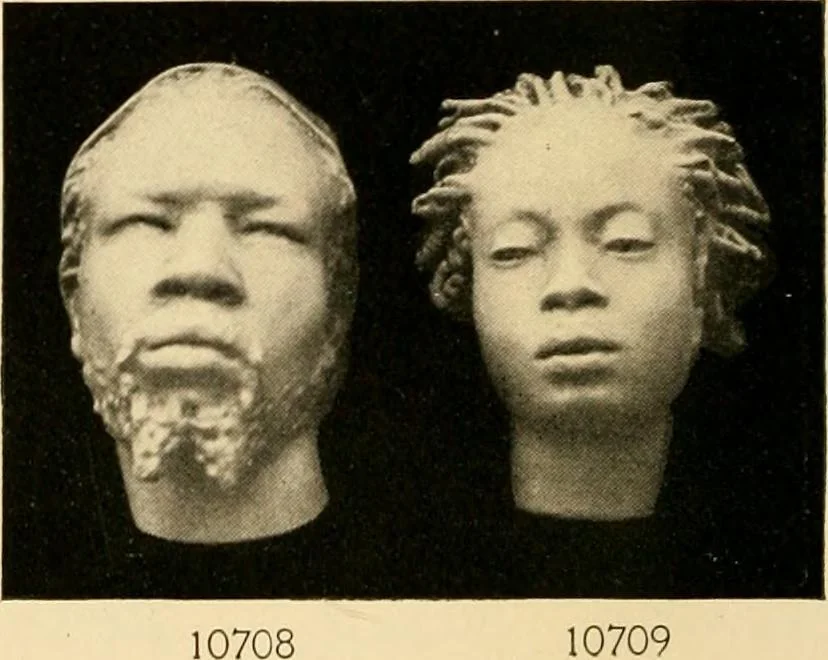 An illustration from Catalogue of plaster cast reproductions from antique, medieval and modern sculpture : subjects for art schools., 1901, leaf 203