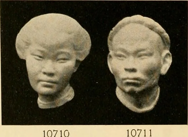 An illustration from Catalogue of plaster cast reproductions from antique, medieval and modern sculpture : subjects for art schools., 1901, leaf 203