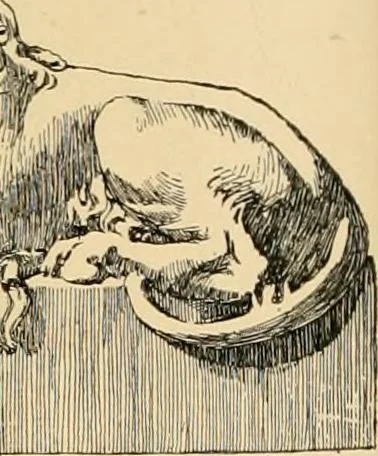 An illustration from Catalogue of plaster cast reproductions from antique, medieval and modern sculpture : subjects for art schools., 1901, leaf 219