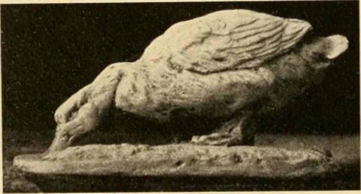 An illustration from Catalogue of plaster cast reproductions from antique, medieval and modern sculpture : subjects for art schools., 1901, leaf 219