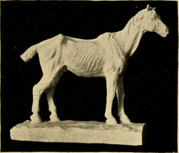 An illustration from Catalogue of plaster cast reproductions from antique, medieval and modern sculpture : subjects for art schools., 1901, leaf 220