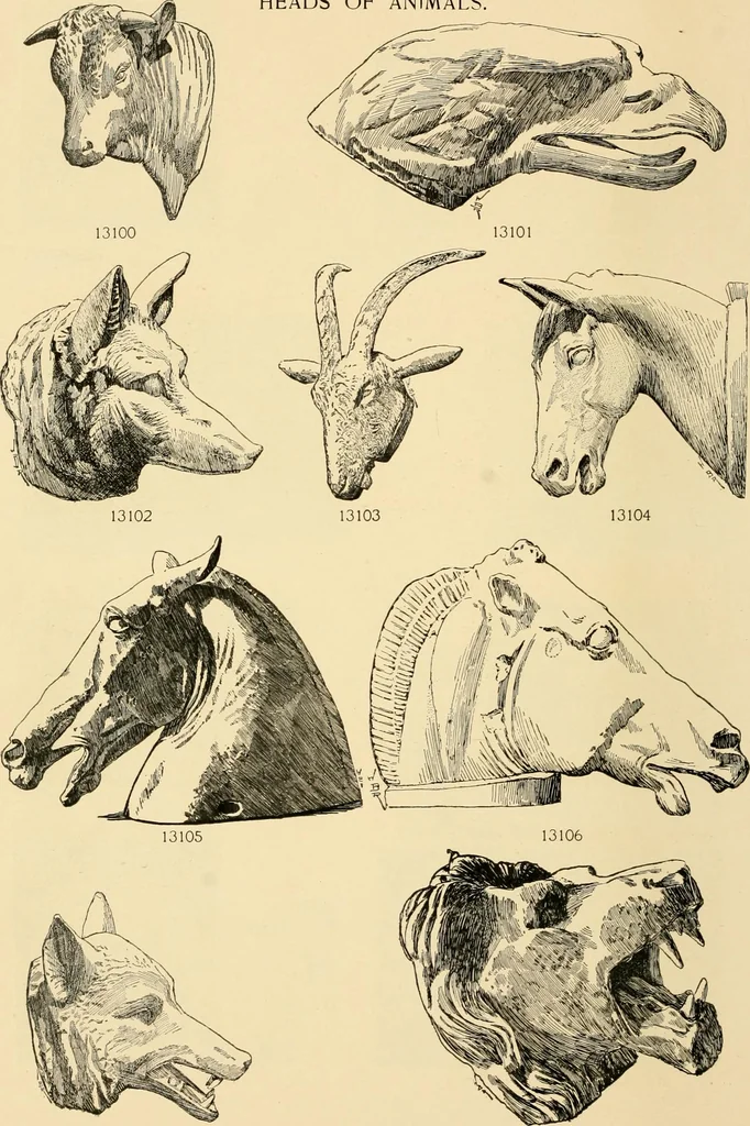 An illustration from Catalogue of plaster cast reproductions from antique, medieval and modern sculpture : subjects for art schools., 1901, leaf 221