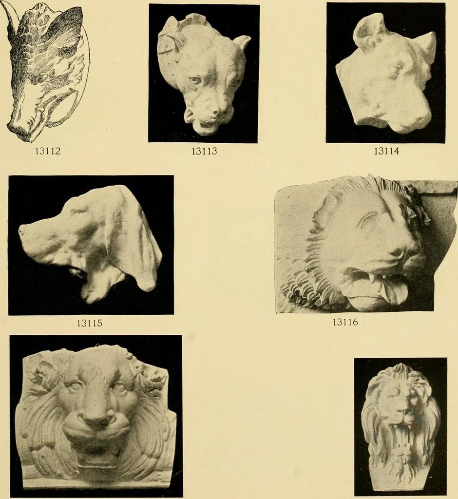 An illustration from Catalogue of plaster cast reproductions from antique, medieval and modern sculpture : subjects for art schools., 1901, leaf 222