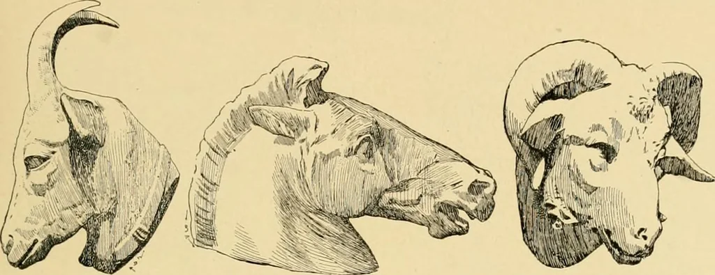 An illustration from Catalogue of plaster cast reproductions from antique, medieval and modern sculpture : subjects for art schools., 1901, leaf 224