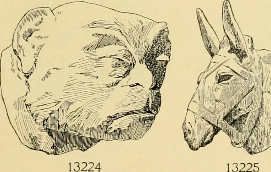 An illustration from Catalogue of plaster cast reproductions from antique, medieval and modern sculpture : subjects for art schools., 1901, leaf 224