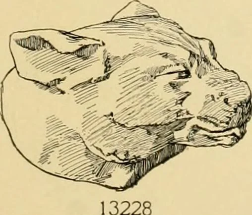 An illustration from Catalogue of plaster cast reproductions from antique, medieval and modern sculpture : subjects for art schools., 1901, leaf 224