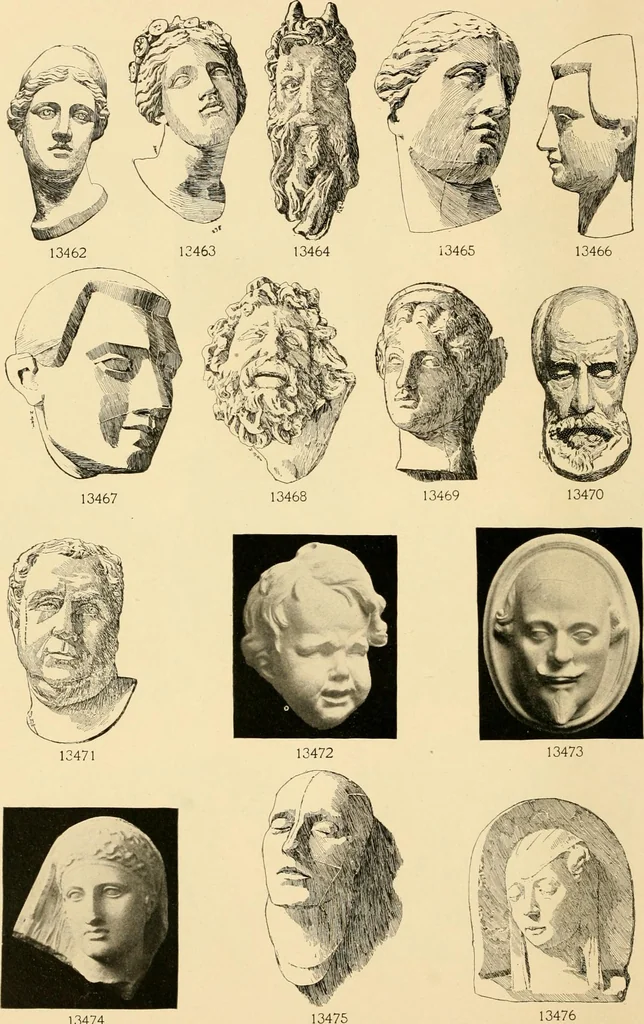 An illustration from Catalogue of plaster cast reproductions from antique, medieval and modern sculpture : subjects for art schools., 1901, leaf 229