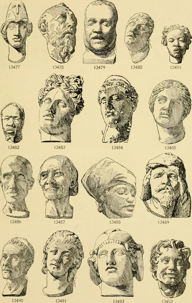 An illustration from Catalogue of plaster cast reproductions from antique, medieval and modern sculpture : subjects for art schools., 1901, leaf 230