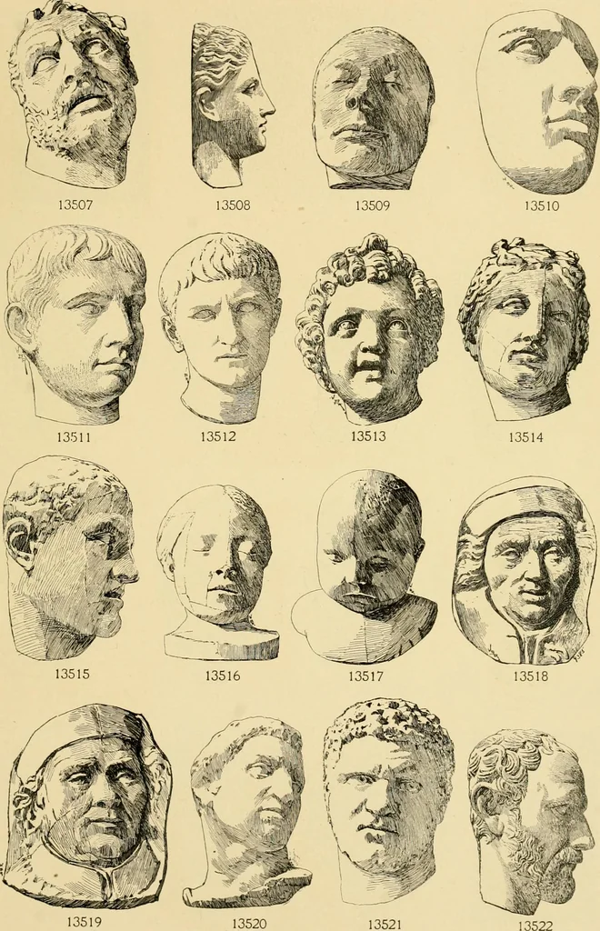 An illustration from Catalogue of plaster cast reproductions from antique, medieval and modern sculpture : subjects for art schools., 1901, leaf 232