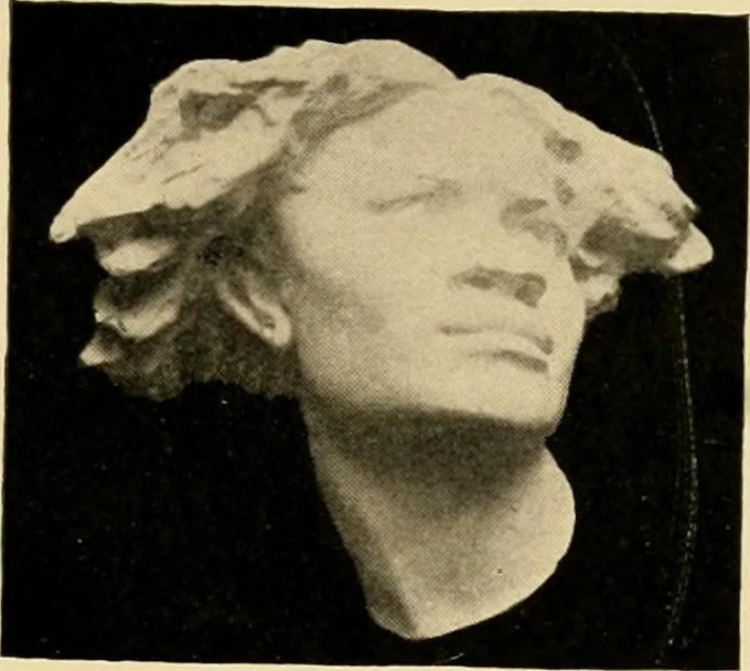 An illustration from Catalogue of plaster cast reproductions from antique, medieval and modern sculpture : subjects for art schools., 1901, leaf 234