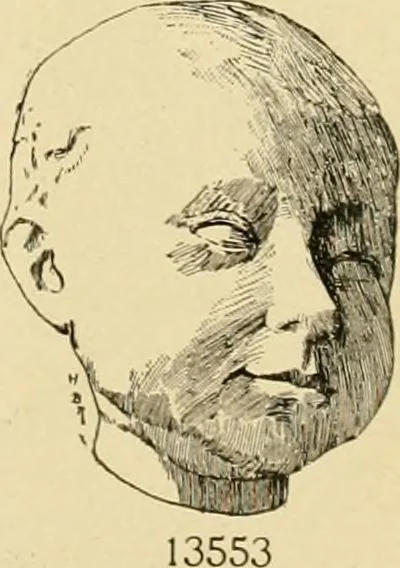 An illustration from Catalogue of plaster cast reproductions from antique, medieval and modern sculpture : subjects for art schools., 1901, leaf 234