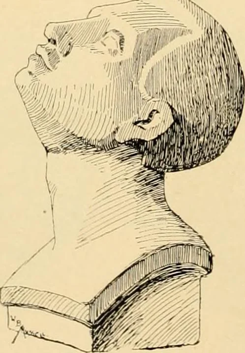 An illustration from Catalogue of plaster cast reproductions from antique, medieval and modern sculpture : subjects for art schools., 1901, leaf 235