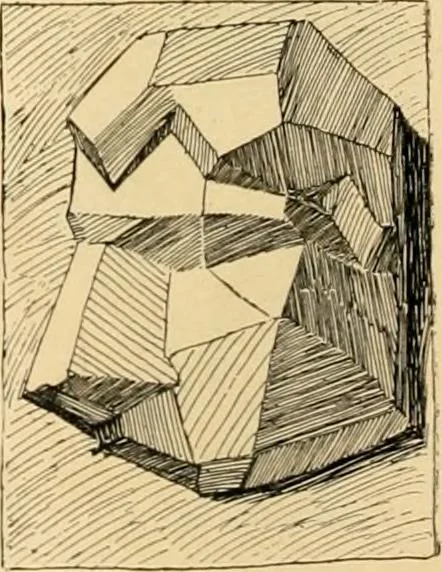 An illustration from Catalogue of plaster cast reproductions from antique, medieval and modern sculpture : subjects for art schools., 1901, leaf 235