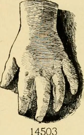 An illustration from Catalogue of plaster cast reproductions from antique, medieval and modern sculpture : subjects for art schools., 1901, leaf 242