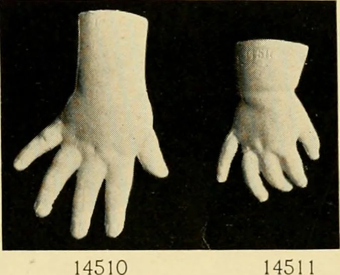 An illustration from Catalogue of plaster cast reproductions from antique, medieval and modern sculpture : subjects for art schools., 1901, leaf 242