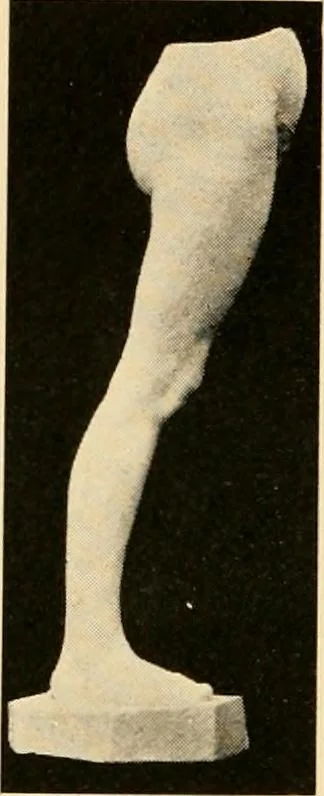 An illustration from Catalogue of plaster cast reproductions from antique, medieval and modern sculpture : subjects for art schools., 1901, leaf 243