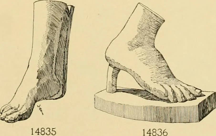 An illustration from Catalogue of plaster cast reproductions from antique, medieval and modern sculpture : subjects for art schools., 1901, leaf 244