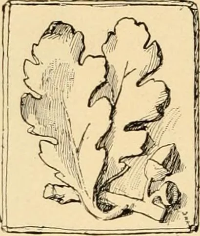 An illustration from Catalogue of plaster cast reproductions from antique, medieval and modern sculpture : subjects for art schools., 1901, leaf 247