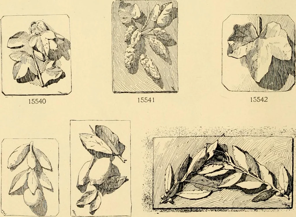 An illustration from Catalogue of plaster cast reproductions from antique, medieval and modern sculpture : subjects for art schools., 1901, leaf 249