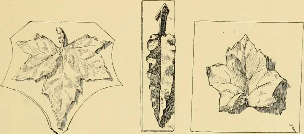 An illustration from Catalogue of plaster cast reproductions from antique, medieval and modern sculpture : subjects for art schools., 1901, leaf 250
