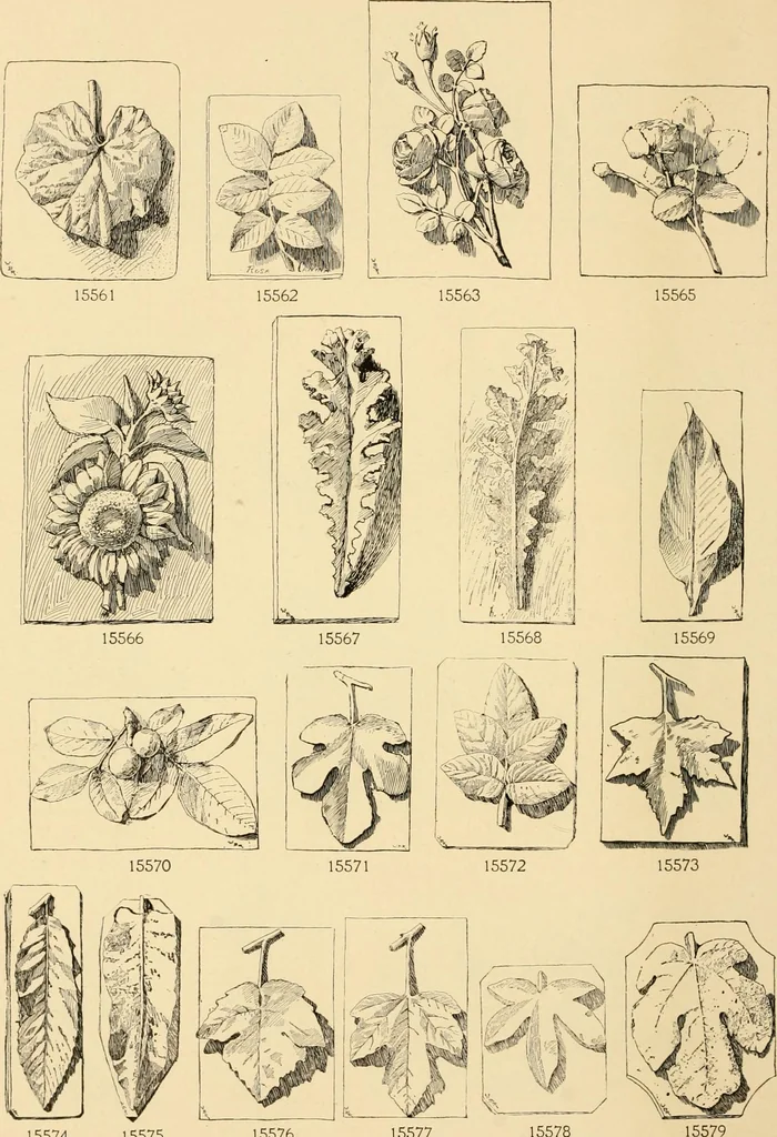 An illustration from Catalogue of plaster cast reproductions from antique, medieval and modern sculpture : subjects for art schools., 1901, leaf 251