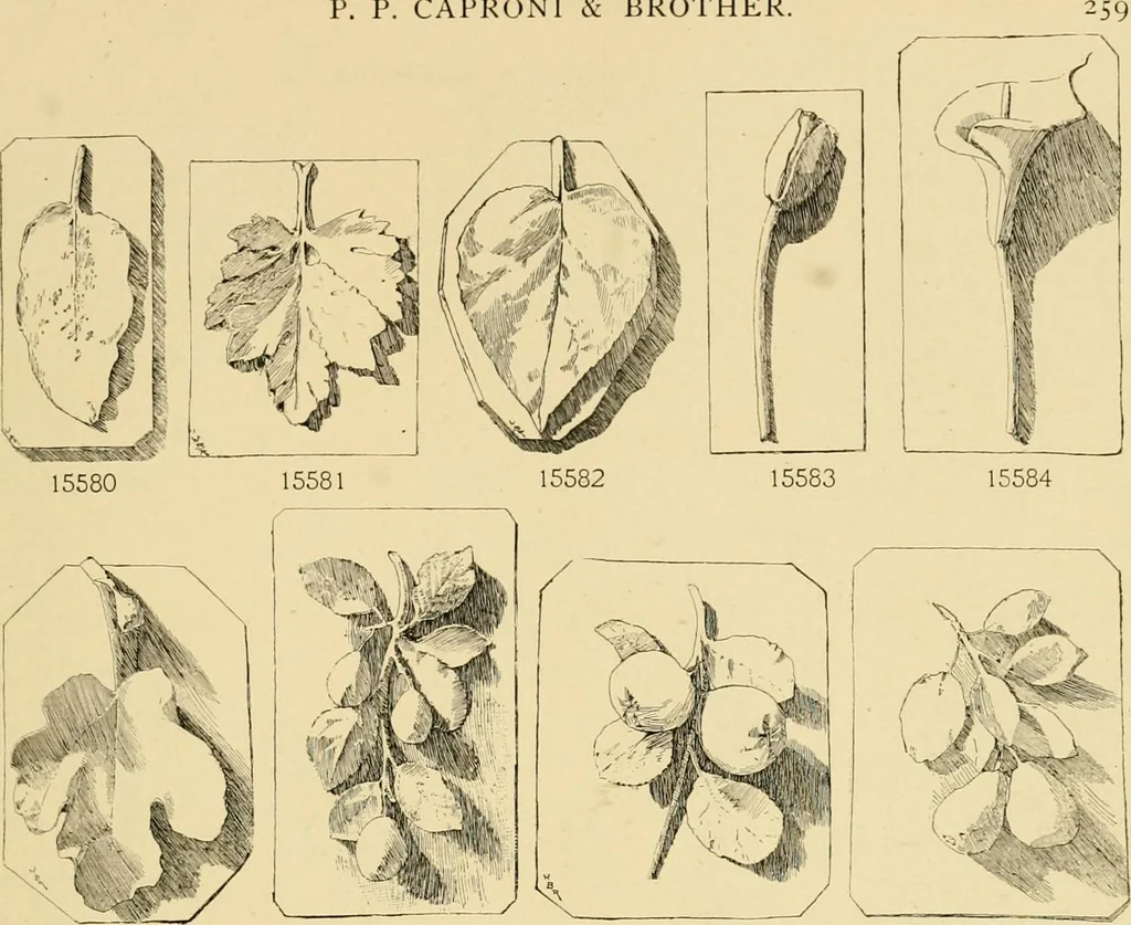 An illustration from Catalogue of plaster cast reproductions from antique, medieval and modern sculpture : subjects for art schools., 1901, leaf 252
