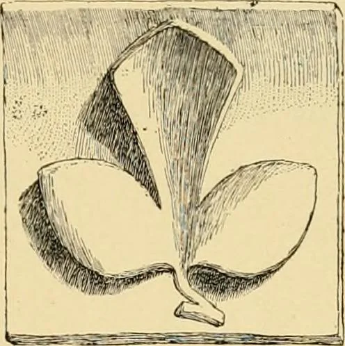 An illustration from Catalogue of plaster cast reproductions from antique, medieval and modern sculpture : subjects for art schools., 1901, leaf 254