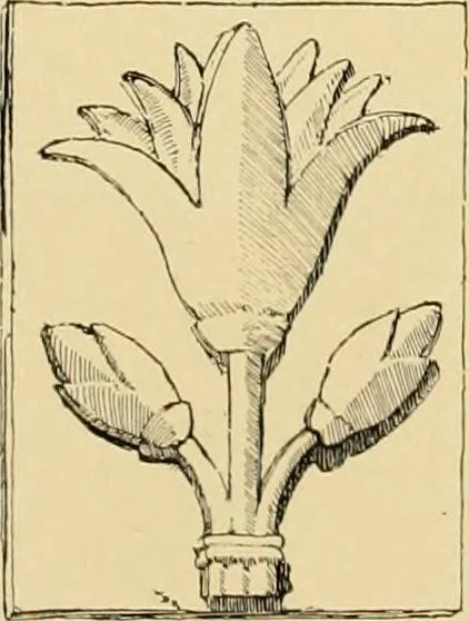 An illustration from Catalogue of plaster cast reproductions from antique, medieval and modern sculpture : subjects for art schools., 1901, leaf 254