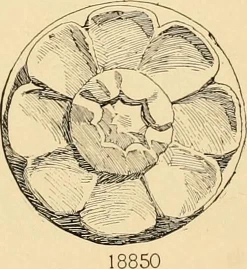 An illustration from Catalogue of plaster cast reproductions from antique, medieval and modern sculpture : subjects for art schools., 1901, leaf 261