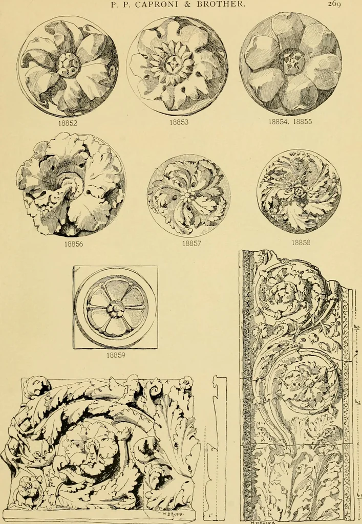 An illustration from Catalogue of plaster cast reproductions from antique, medieval and modern sculpture : subjects for art schools., 1901, leaf 262