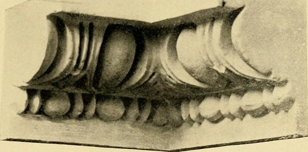 An illustration from Catalogue of plaster cast reproductions from antique, medieval and modern sculpture : subjects for art schools., 1901, leaf 264