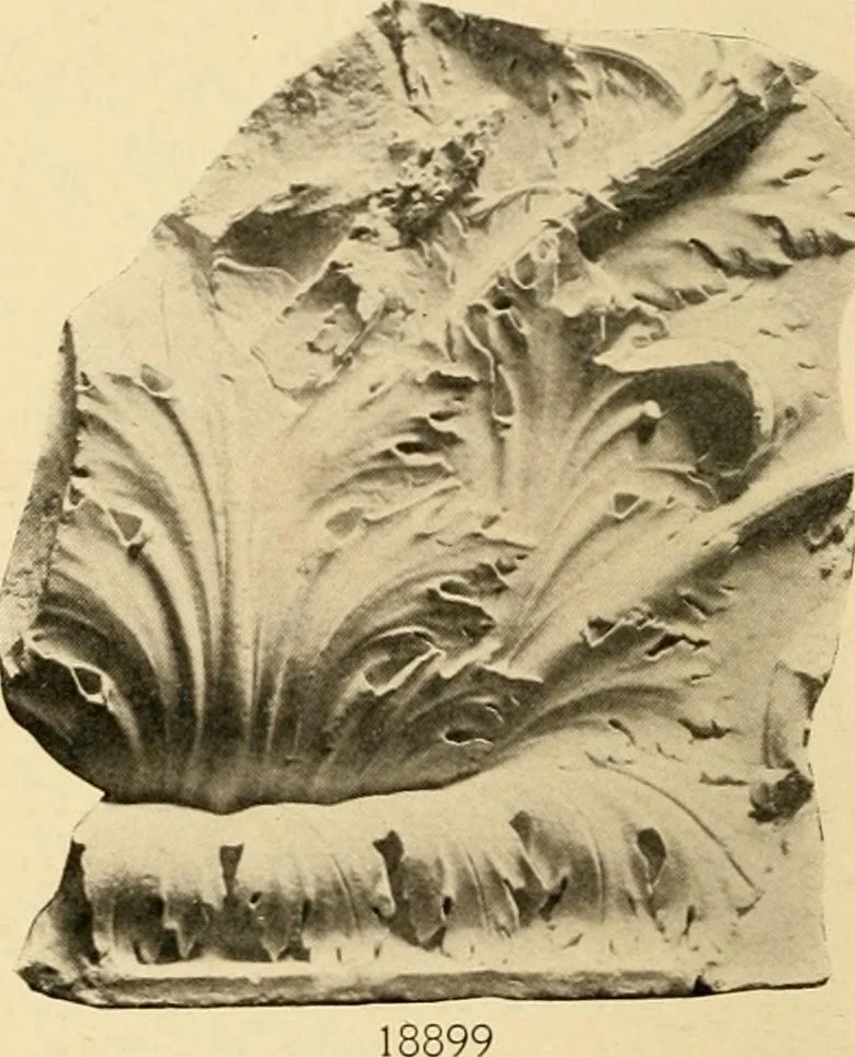 An illustration from Catalogue of plaster cast reproductions from antique, medieval and modern sculpture : subjects for art schools., 1901, leaf 267