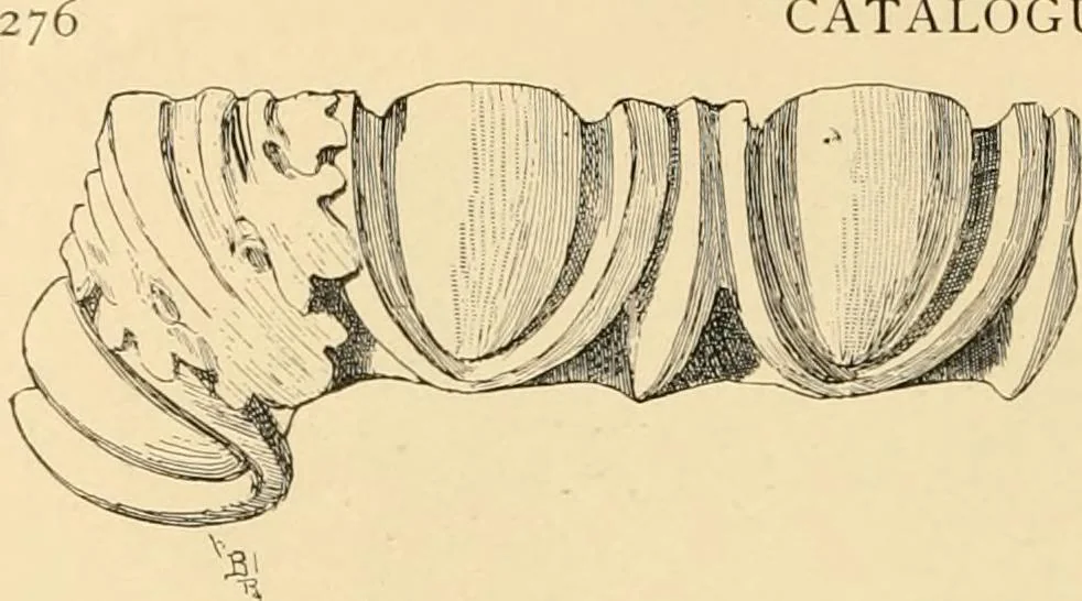An illustration from Catalogue of plaster cast reproductions from antique, medieval and modern sculpture : subjects for art schools., 1901, leaf 269