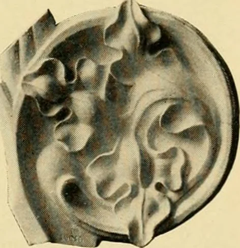 An illustration from Catalogue of plaster cast reproductions from antique, medieval and modern sculpture : subjects for art schools., 1901, leaf 278