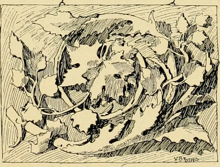An illustration from Catalogue of plaster cast reproductions from antique, medieval and modern sculpture : subjects for art schools., 1901, leaf 280
