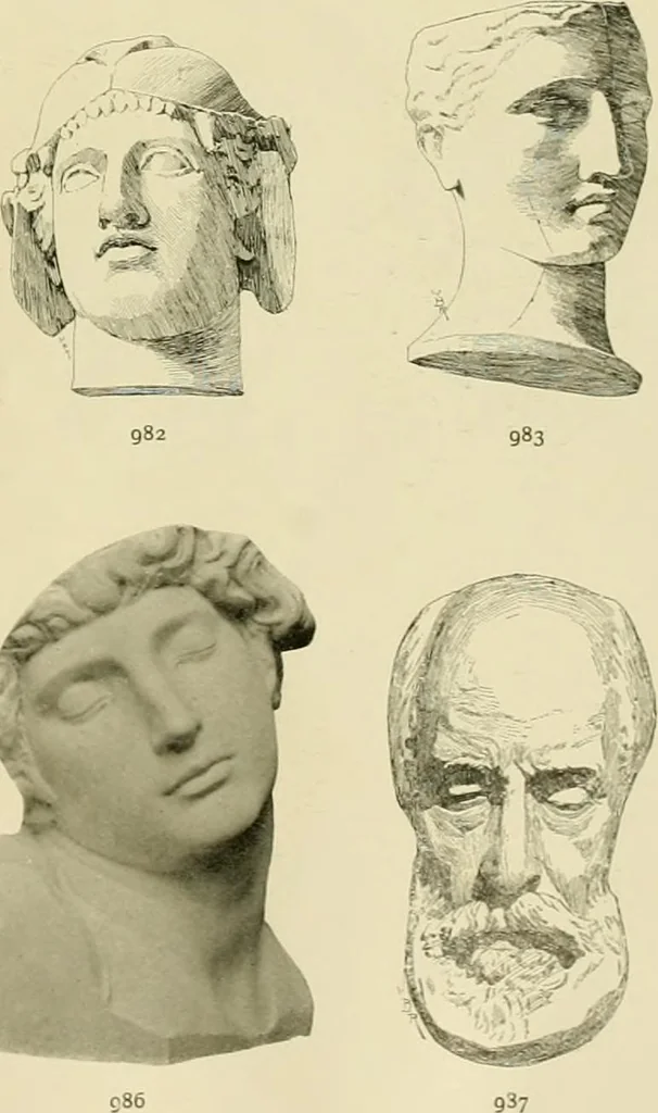 An illustration from Catalogue of plaster cast reproductions from antique, medieval and modern sculpture., 1894, leaf 124