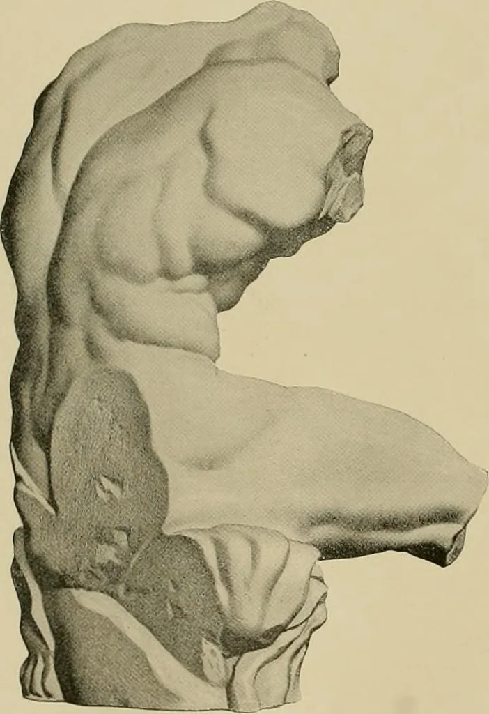 An illustration from Catalogue of plaster cast reproductions from antique, medieval and modern sculpture., 1894, leaf 135