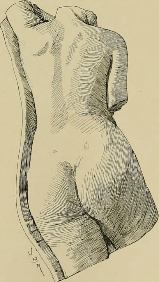 An illustration from Catalogue of plaster cast reproductions from antique, medieval and modern sculpture., 1894, leaf 135