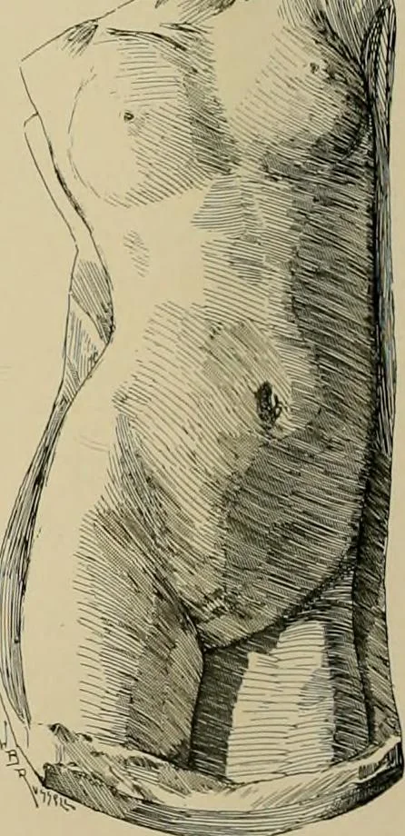 An illustration from Catalogue of plaster cast reproductions from antique, medieval and modern sculpture., 1894, leaf 135