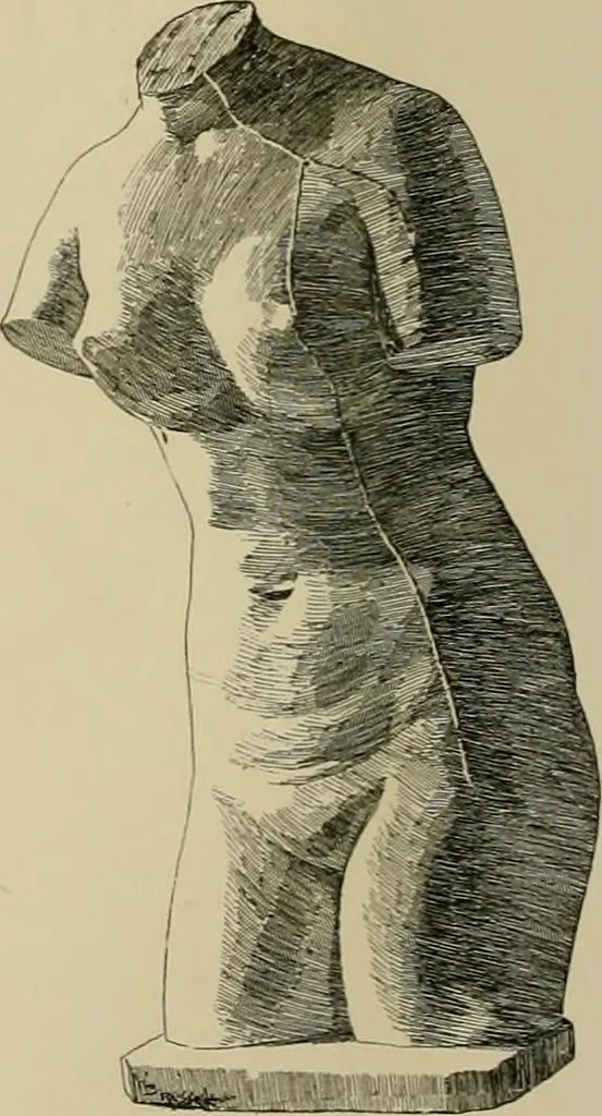 An illustration from Catalogue of plaster cast reproductions from antique, medieval and modern sculpture., 1894, leaf 139