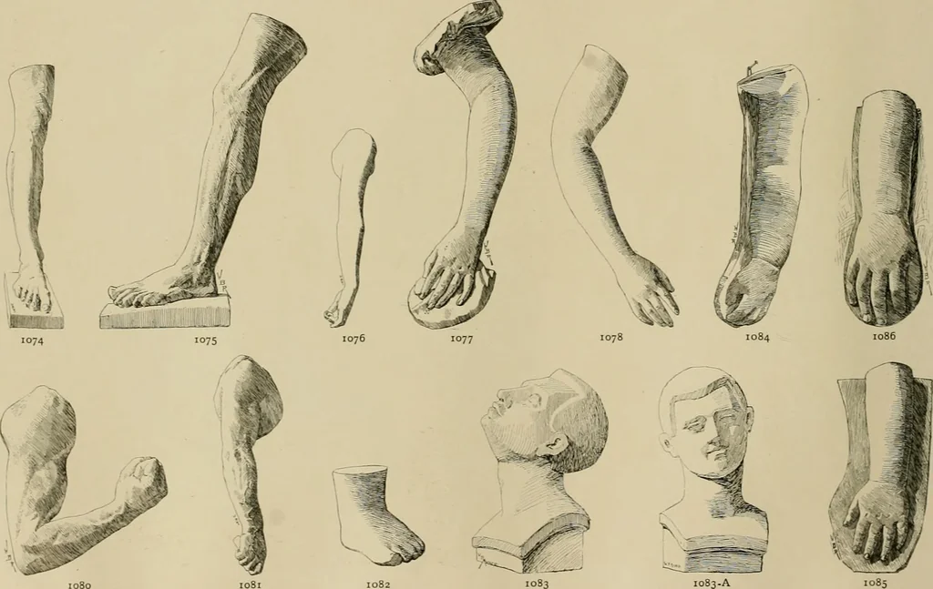 An illustration from Catalogue of plaster cast reproductions from antique, medieval and modern sculpture., 1894, leaf 141