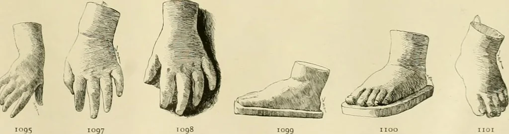 An illustration from Catalogue of plaster cast reproductions from antique, medieval and modern sculpture., 1894, leaf 142
