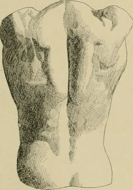 An illustration from Catalogue of plaster cast reproductions from antique, medieval and modern sculpture., 1894, leaf 143