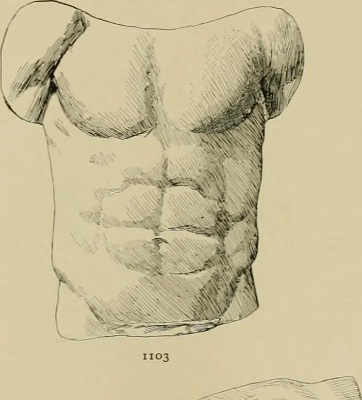An illustration from Catalogue of plaster cast reproductions from antique, medieval and modern sculpture., 1894, leaf 143
