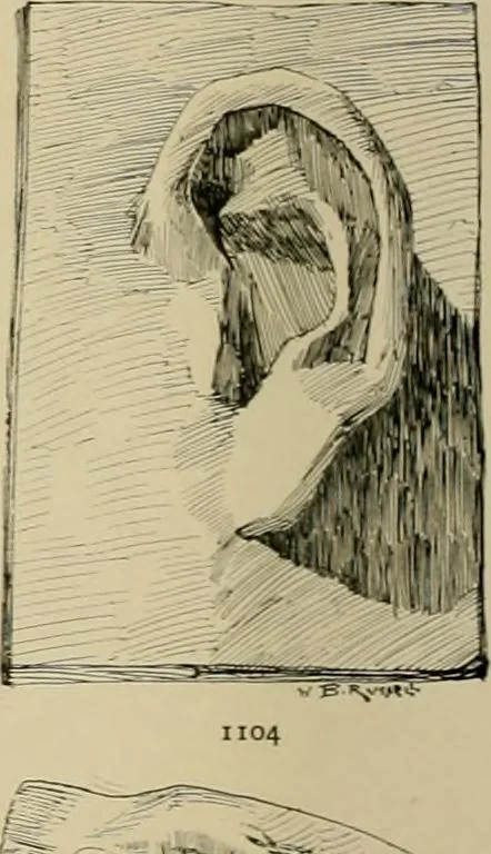 An illustration from Catalogue of plaster cast reproductions from antique, medieval and modern sculpture., 1894, leaf 143