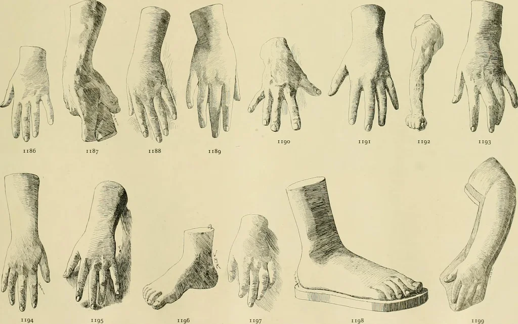 An illustration from Catalogue of plaster cast reproductions from antique, medieval and modern sculpture., 1894, leaf 150