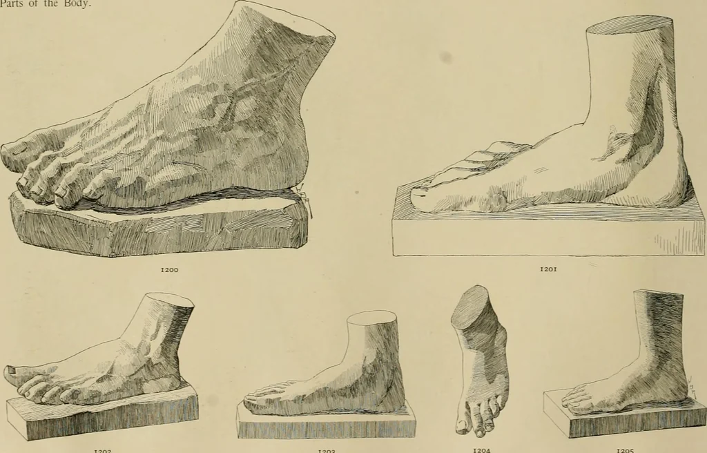 An illustration from Catalogue of plaster cast reproductions from antique, medieval and modern sculpture., 1894, leaf 151
