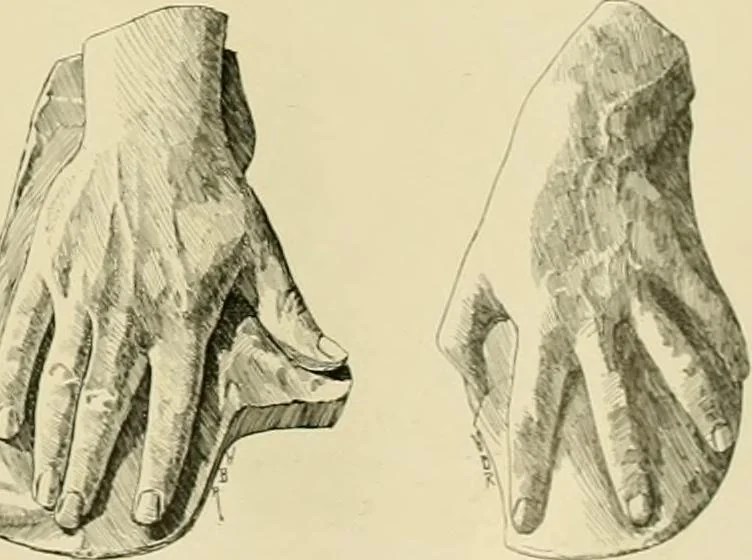 An illustration from Catalogue of plaster cast reproductions from antique, medieval and modern sculpture., 1894, leaf 152